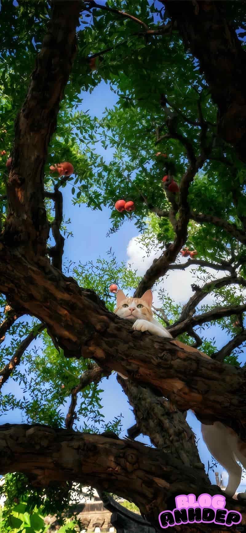 Album ảnh hình nền 3D 4k hút mắt