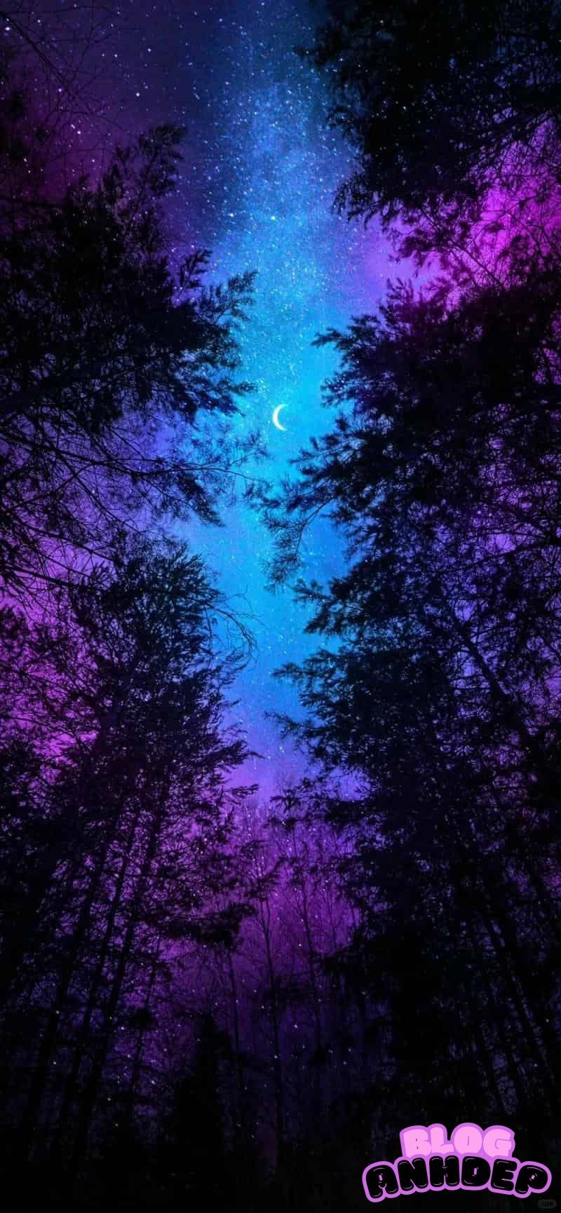 Album ảnh hình nền 3D 4k mới