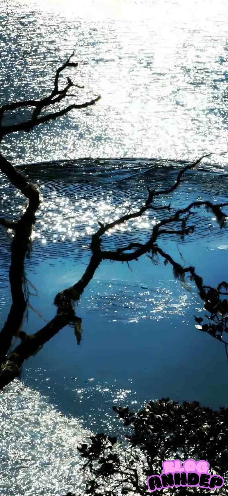 Album ảnh hình nền 3D 4k thu hút