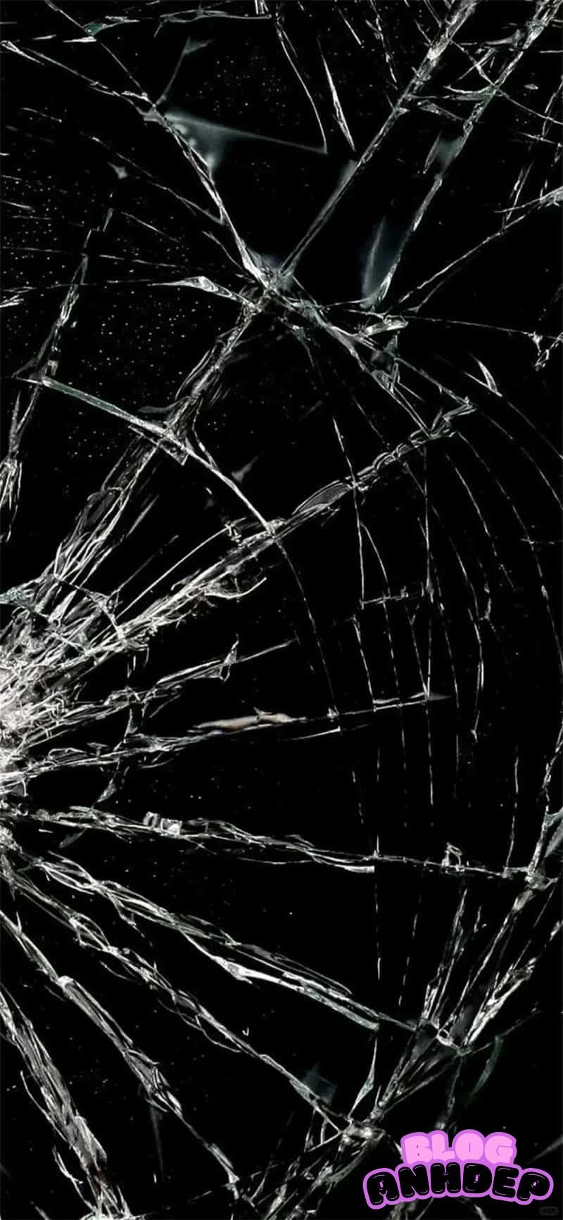 Album ảnh hình nền bể màn hình độc đáo