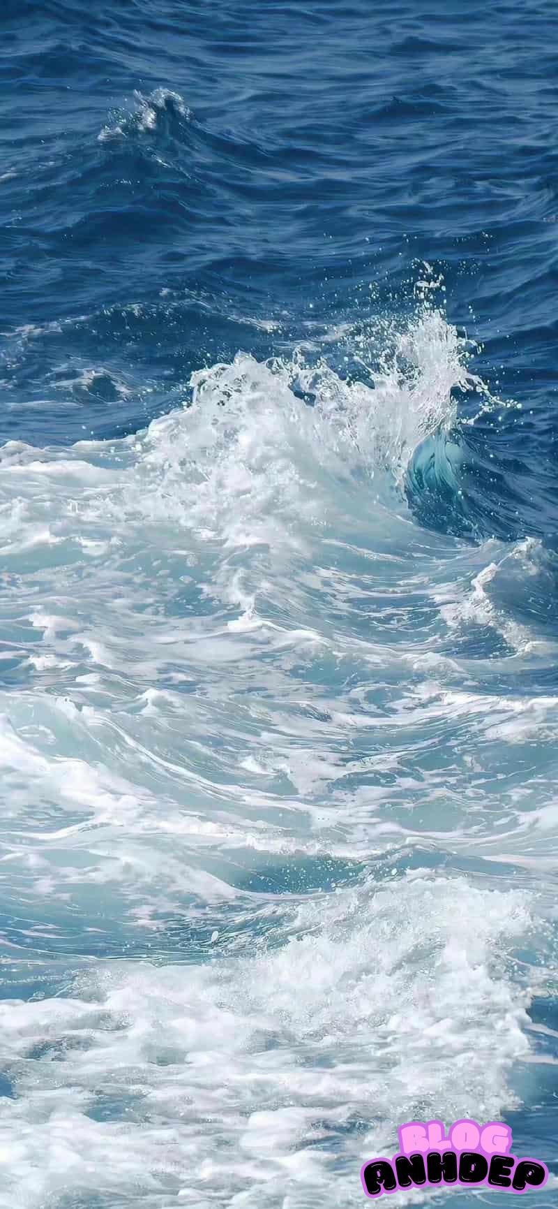 Album ảnh hình nền biển chọn lọc