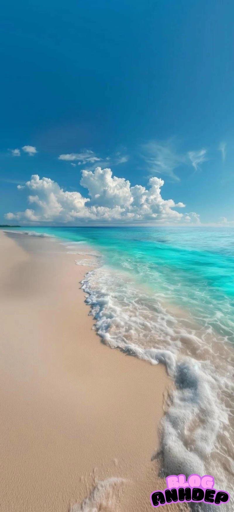 Album ảnh hình nền biển tinh tế