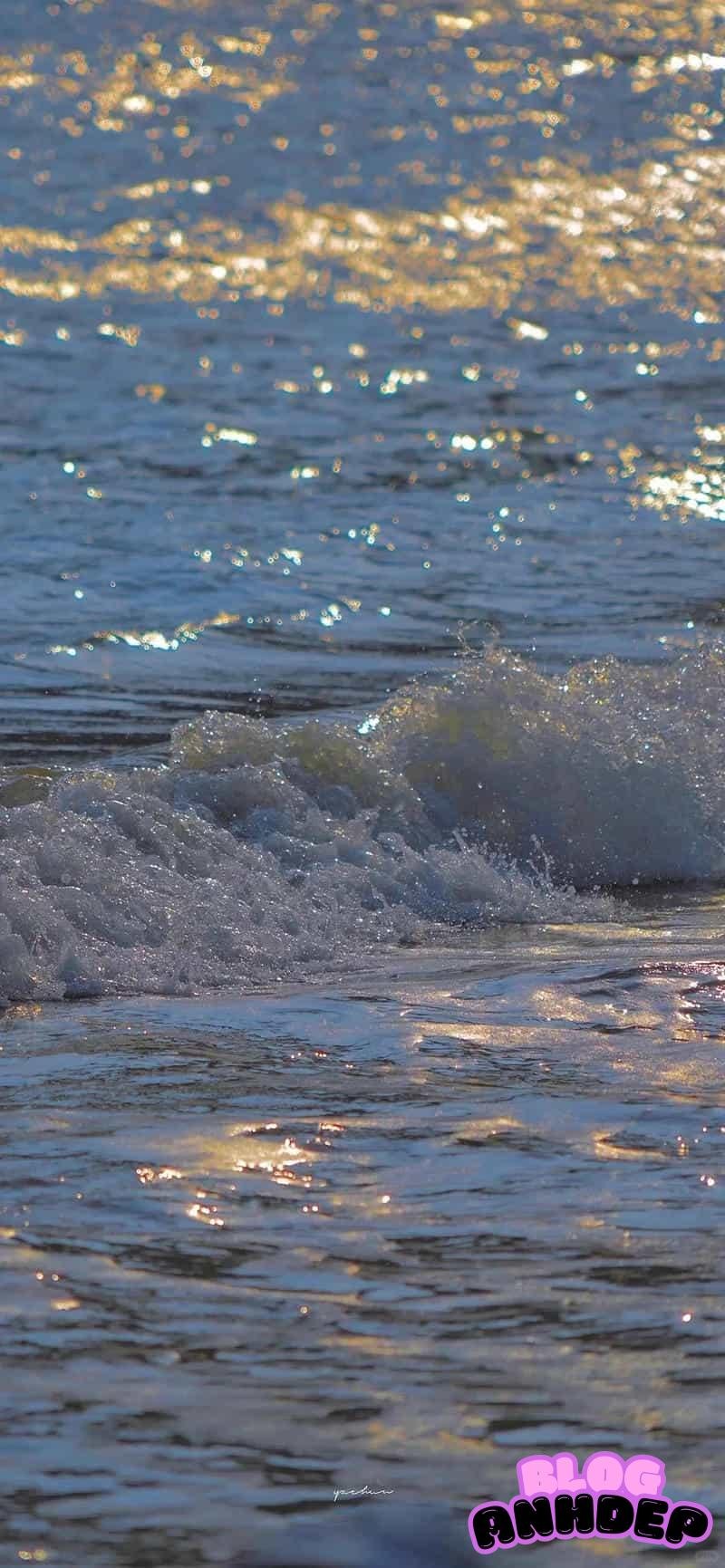 Album ảnh hình nền biển