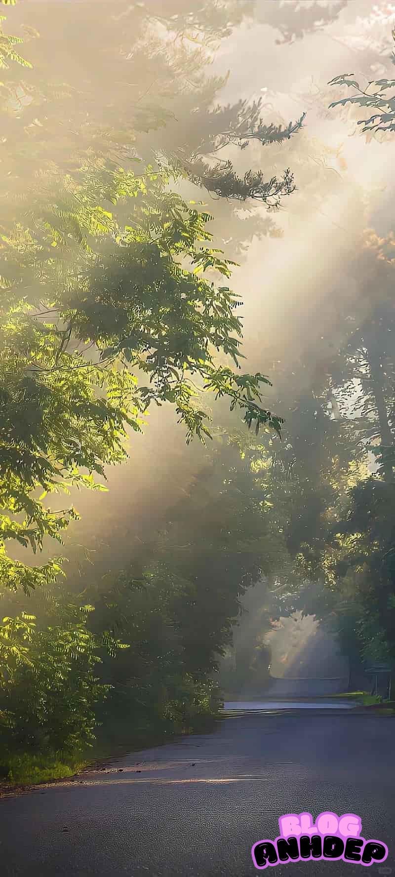 Album ảnh hình nền bình yên an