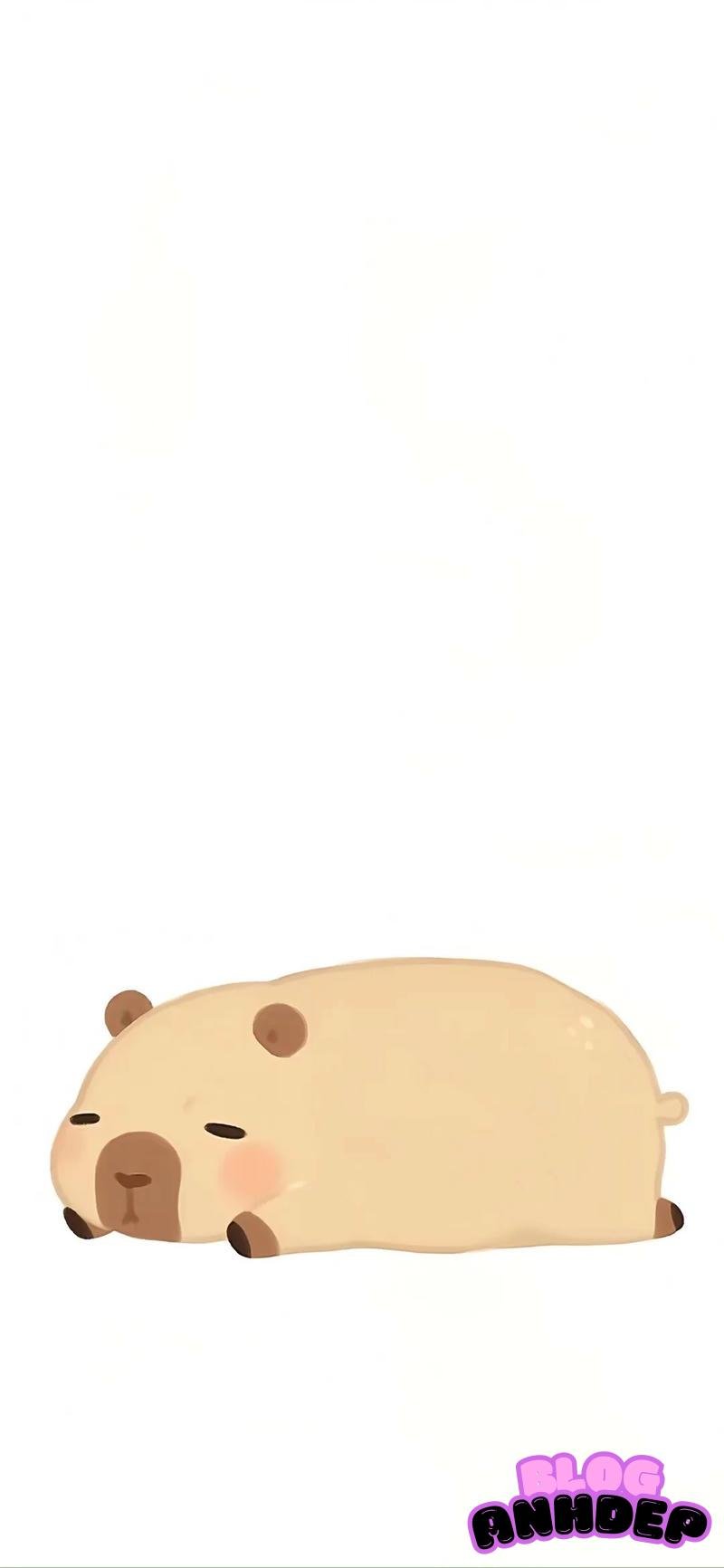 Album ảnh hình nền capypara mới