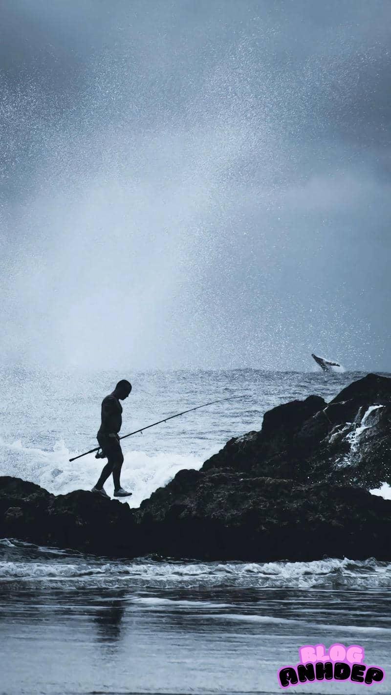 Album ảnh hình nền câu cá mới