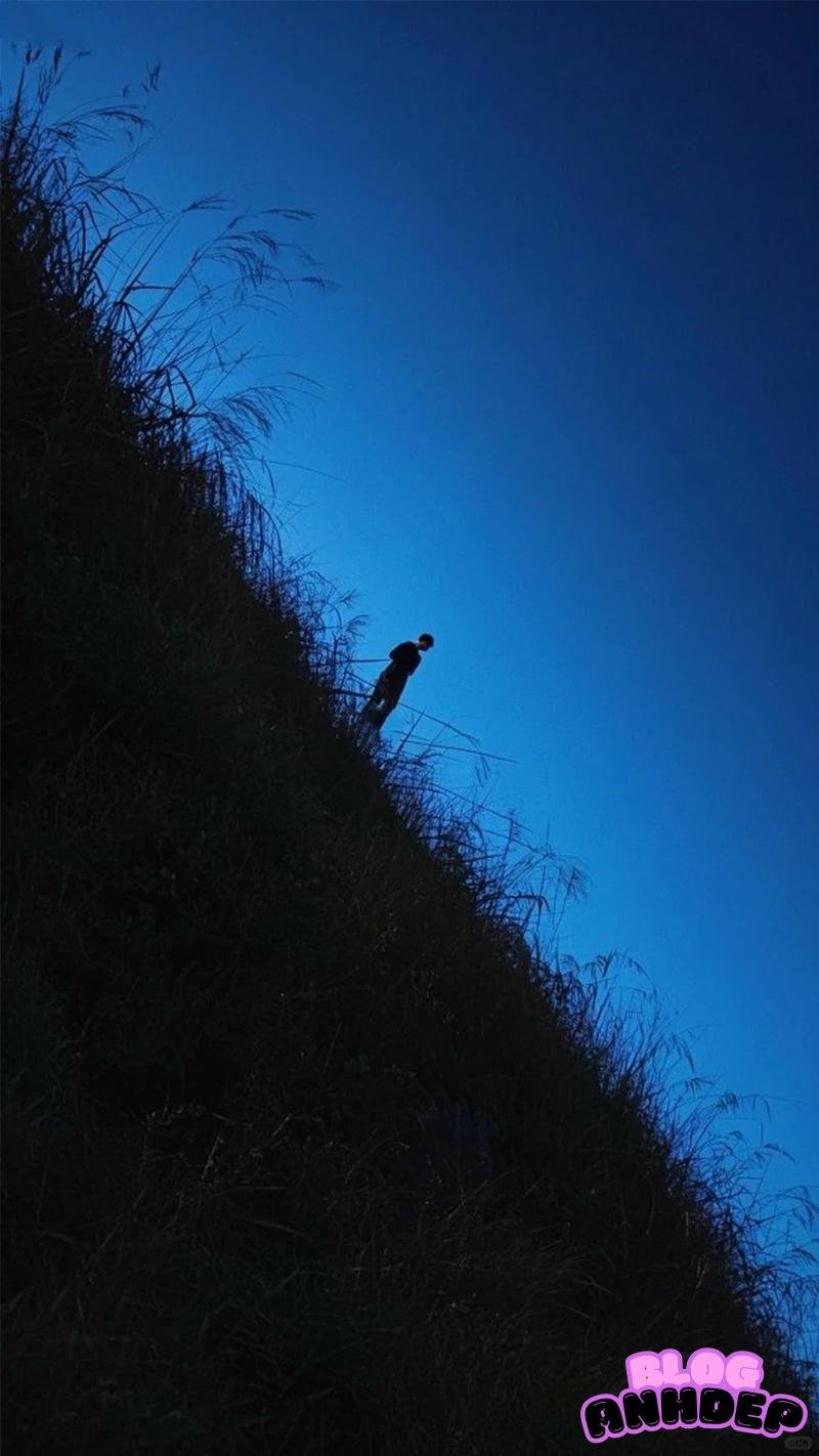 Album ảnh hình nền cô đơn mới