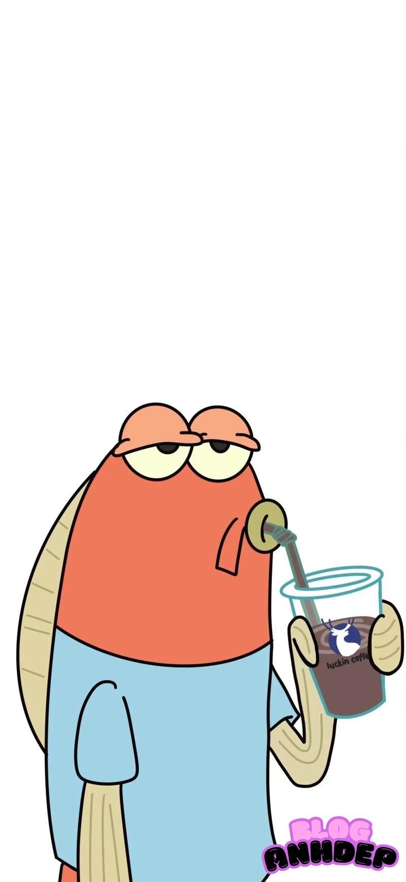 Album biểu cảm hình nền bựa