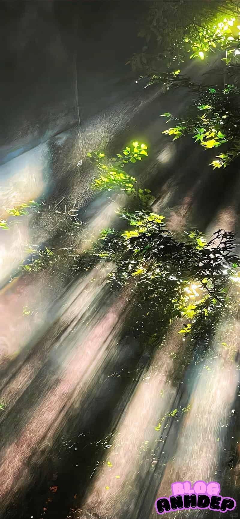 Album hình nền 2k đặc sắc