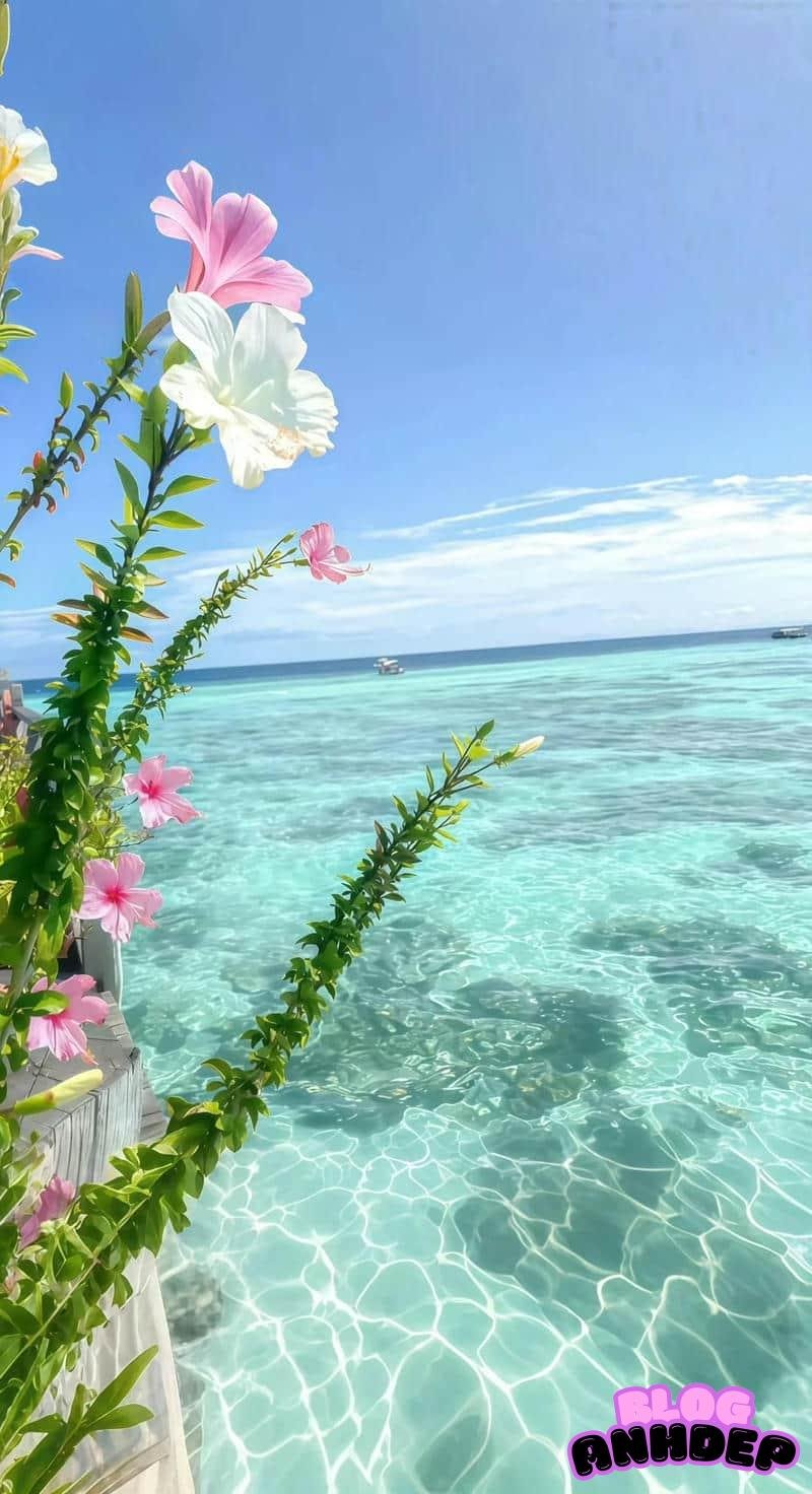 Album hình nền android đa phong cách