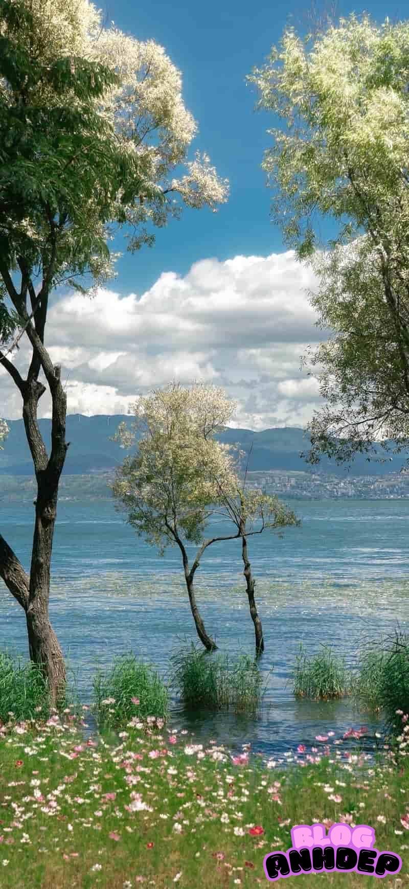 Album hình nền android phong phú