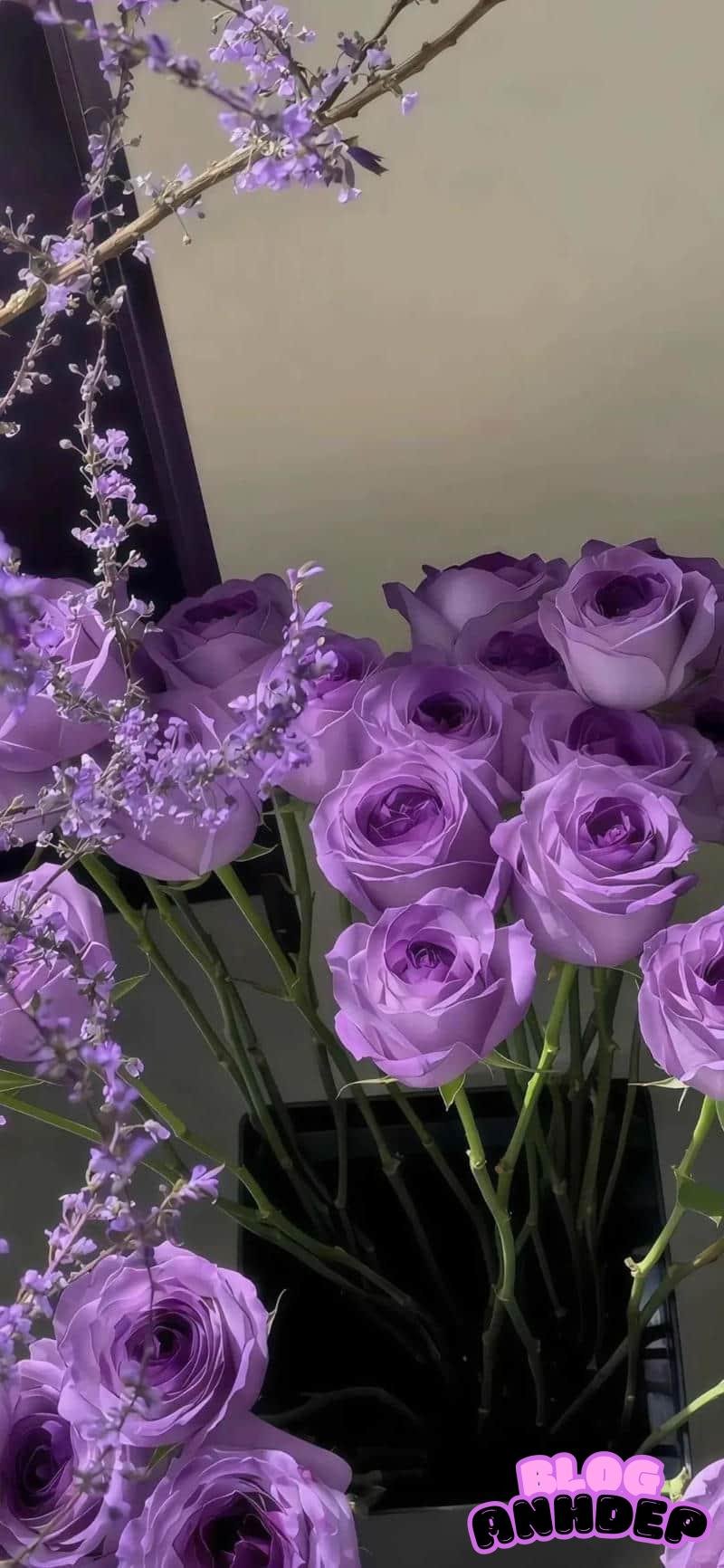 Album hình nền bông hoa nổi bật