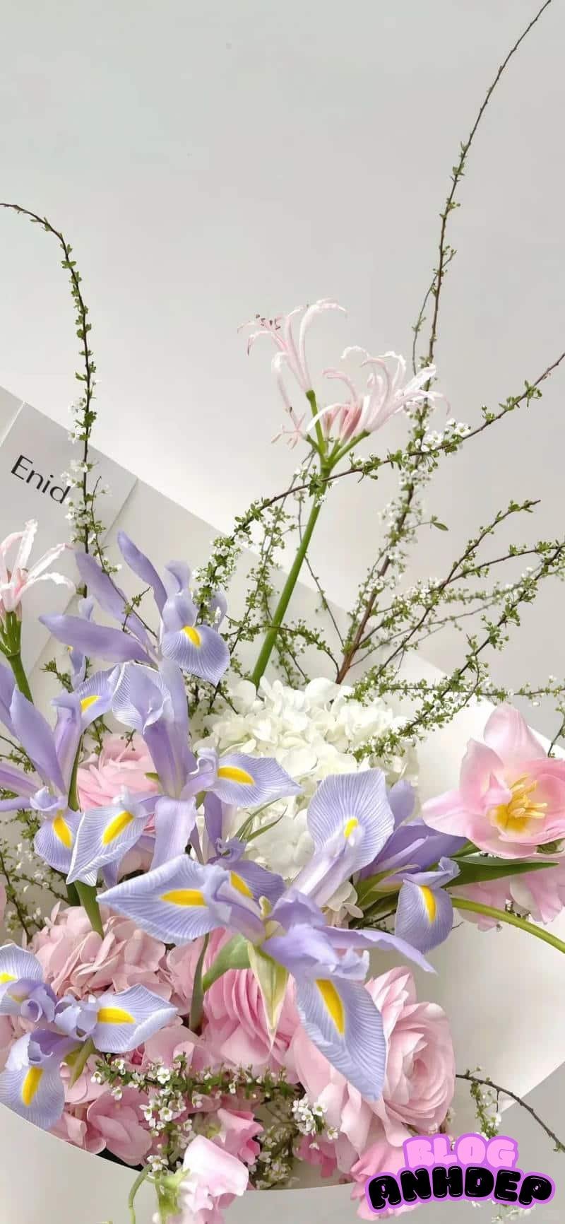 Album hình nền bông hoa rạng rỡ