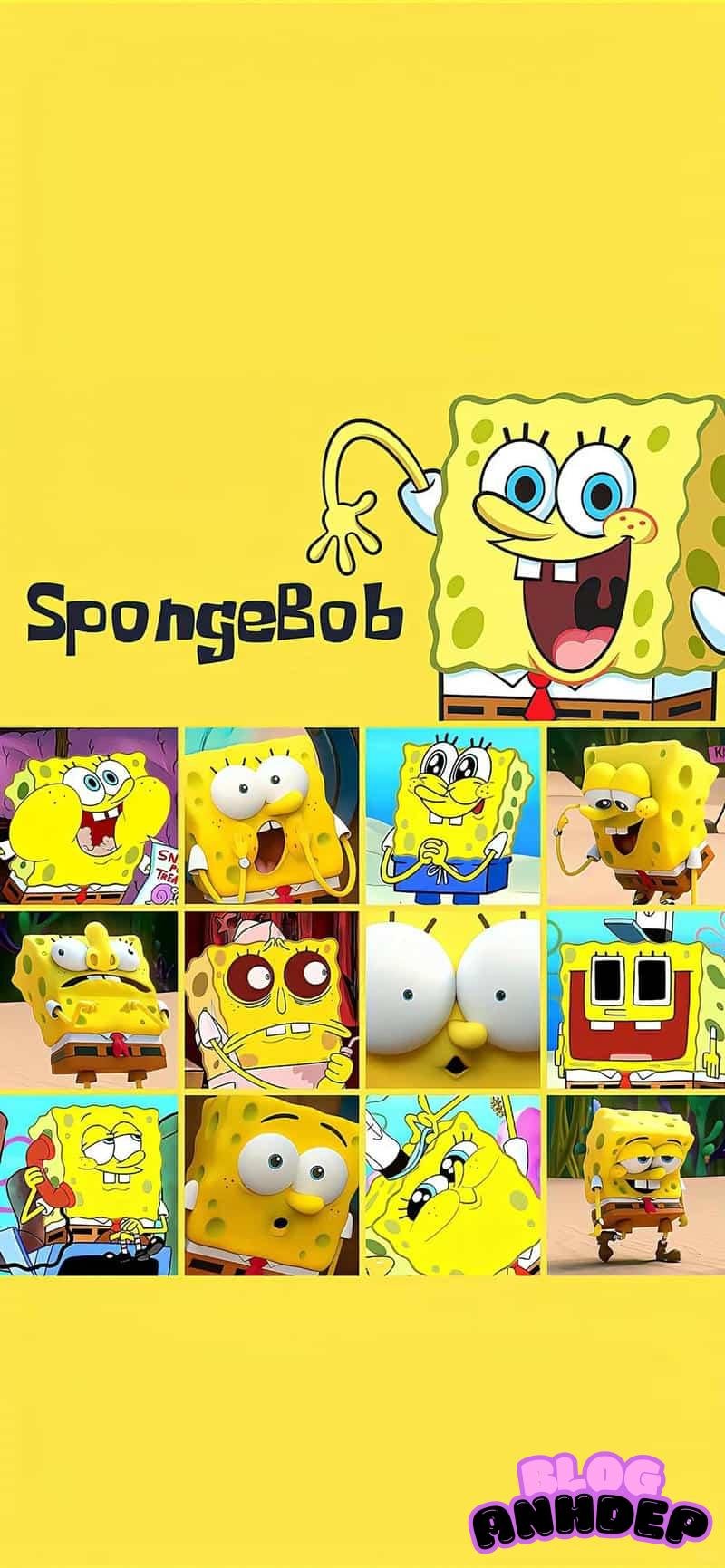 Album hình nền bọt biển nổi bật