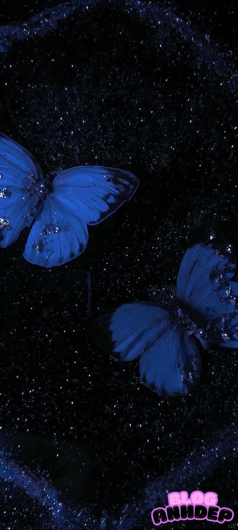 Album hình nền bướm độc quyền