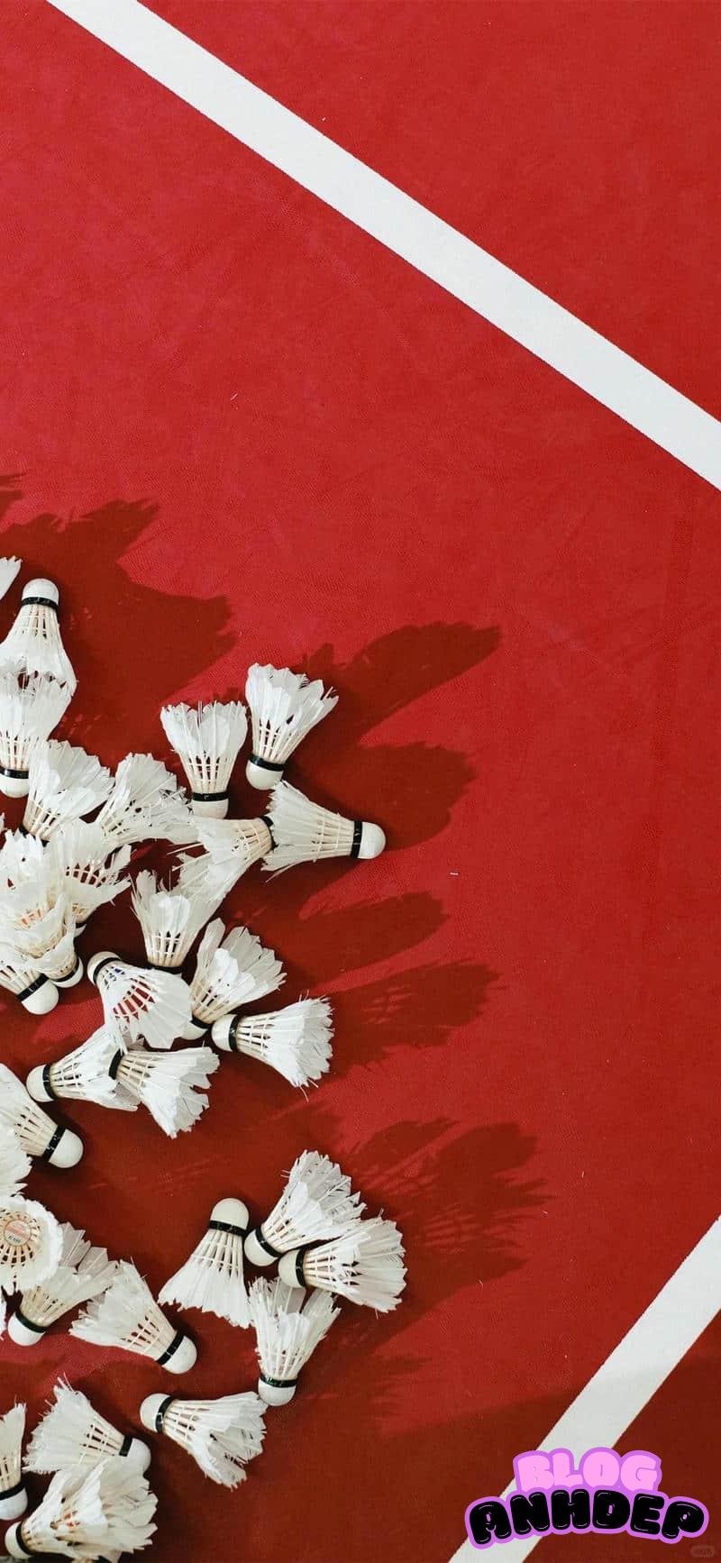 Album hình nền cầu lông độc quyền