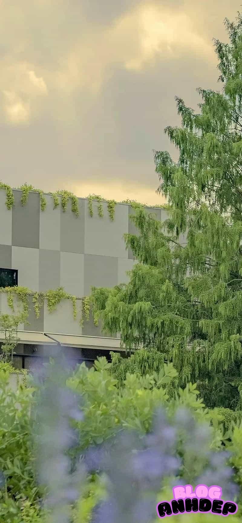 Album hình nền cây xanh mới