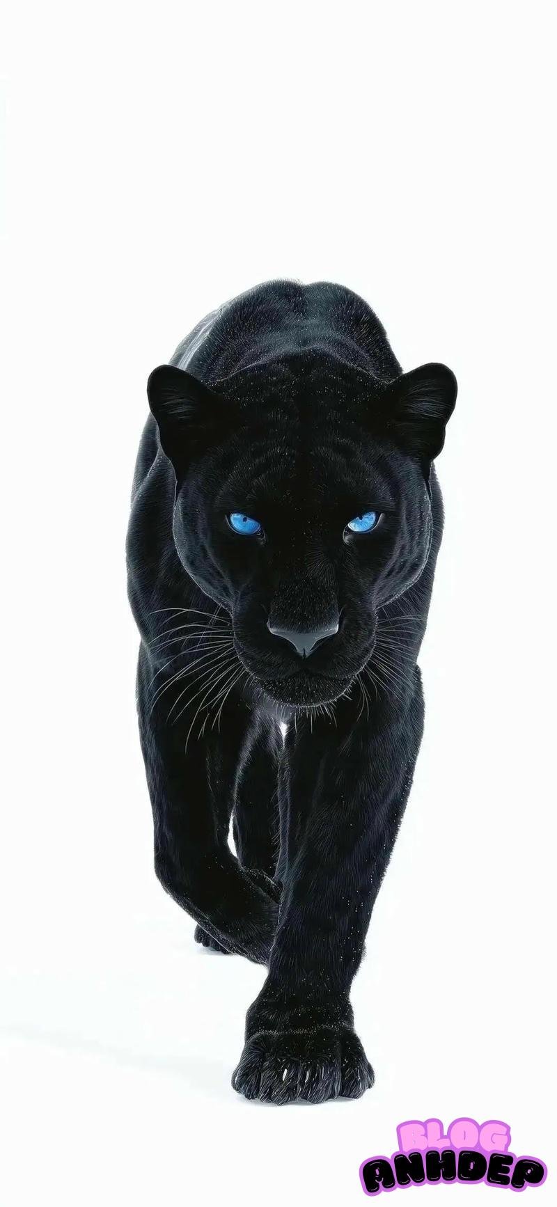 Album hình nền chất chơi mới