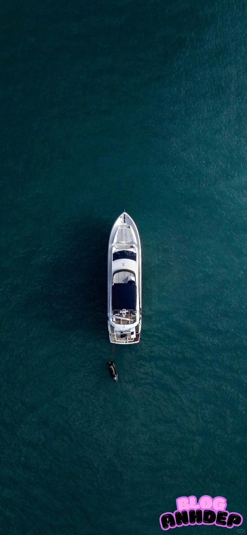 Album hình nền đại dương mới