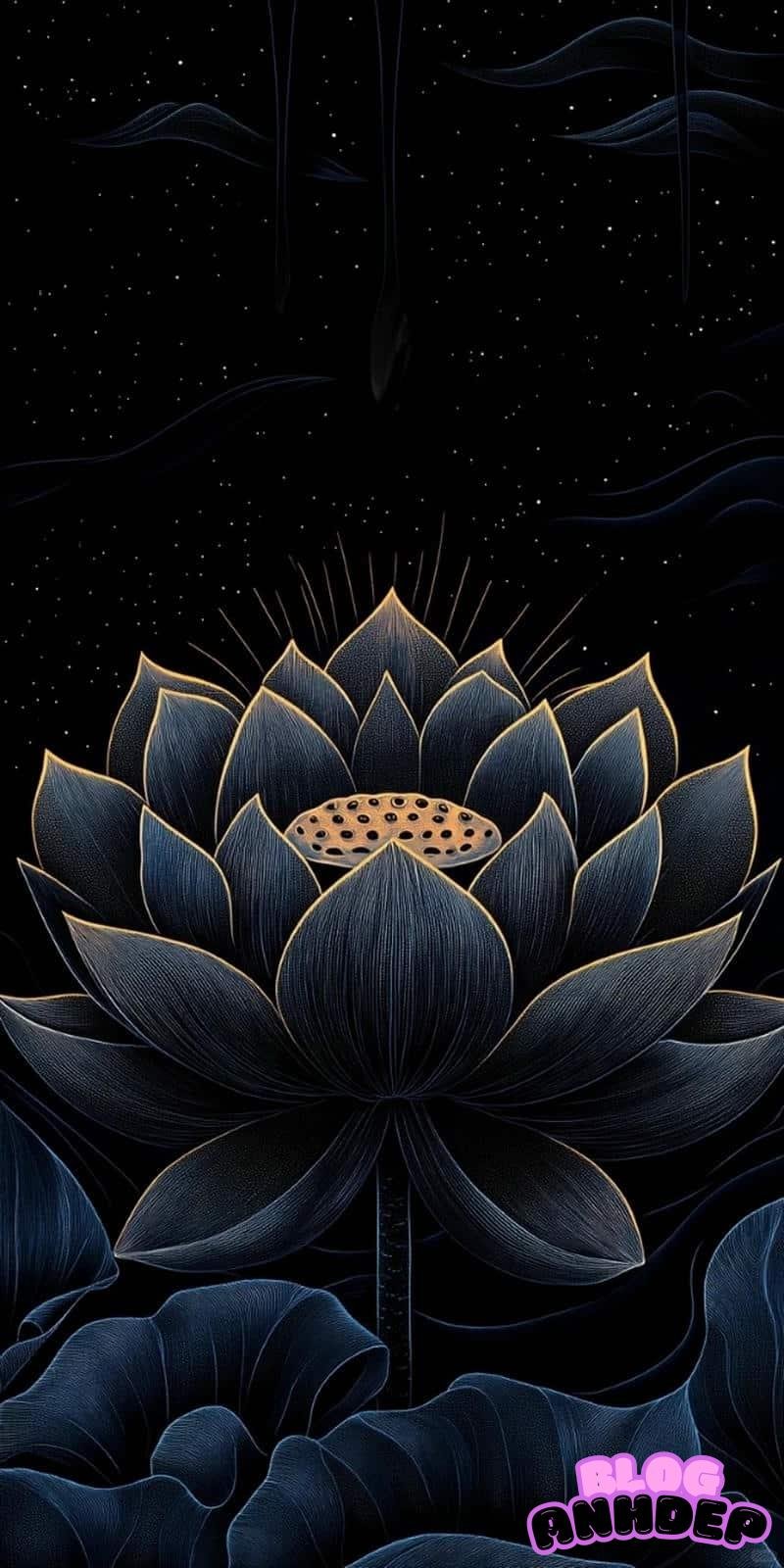 Album hình nền đám tang mới