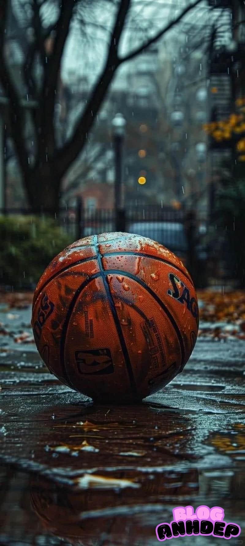 Album tuyển hình nền bóng rổ