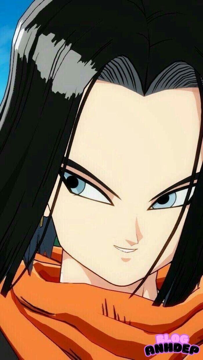 Android 17 photo
