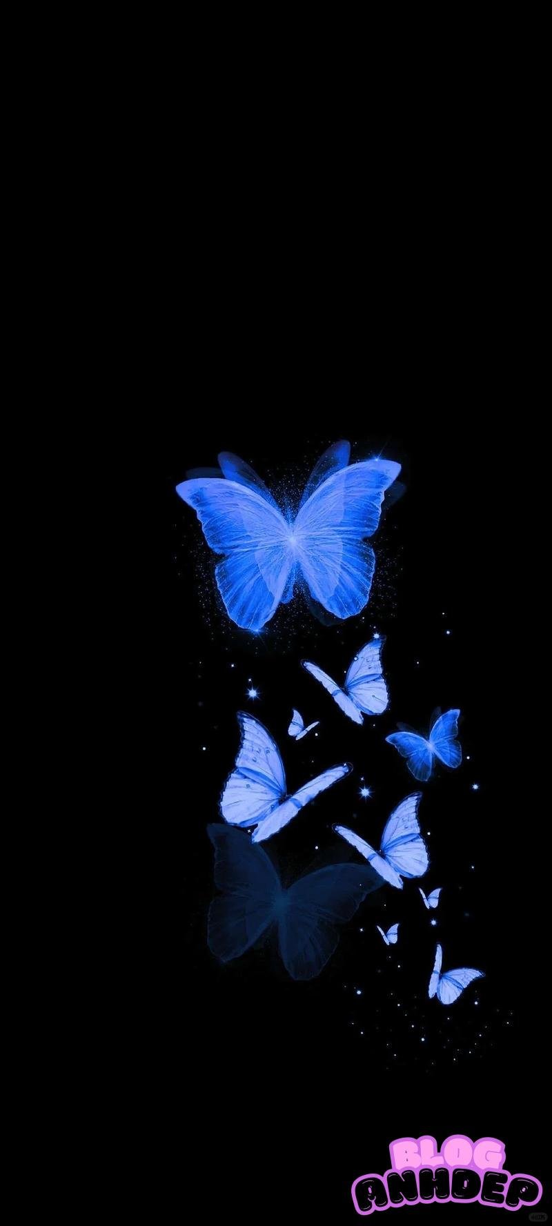 Ảnh hình nền bướm sắc nét