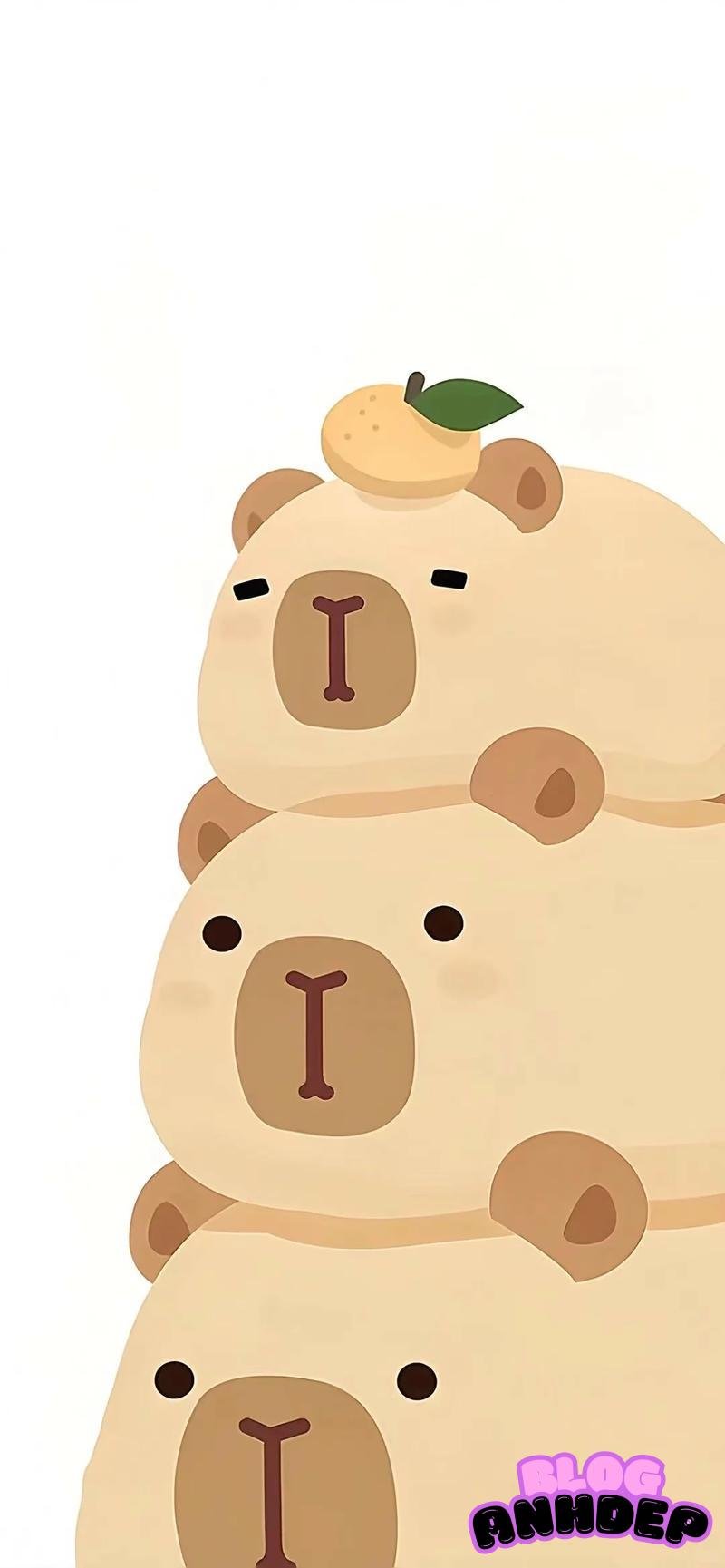 Ảnh hình nền capypara sắc nét