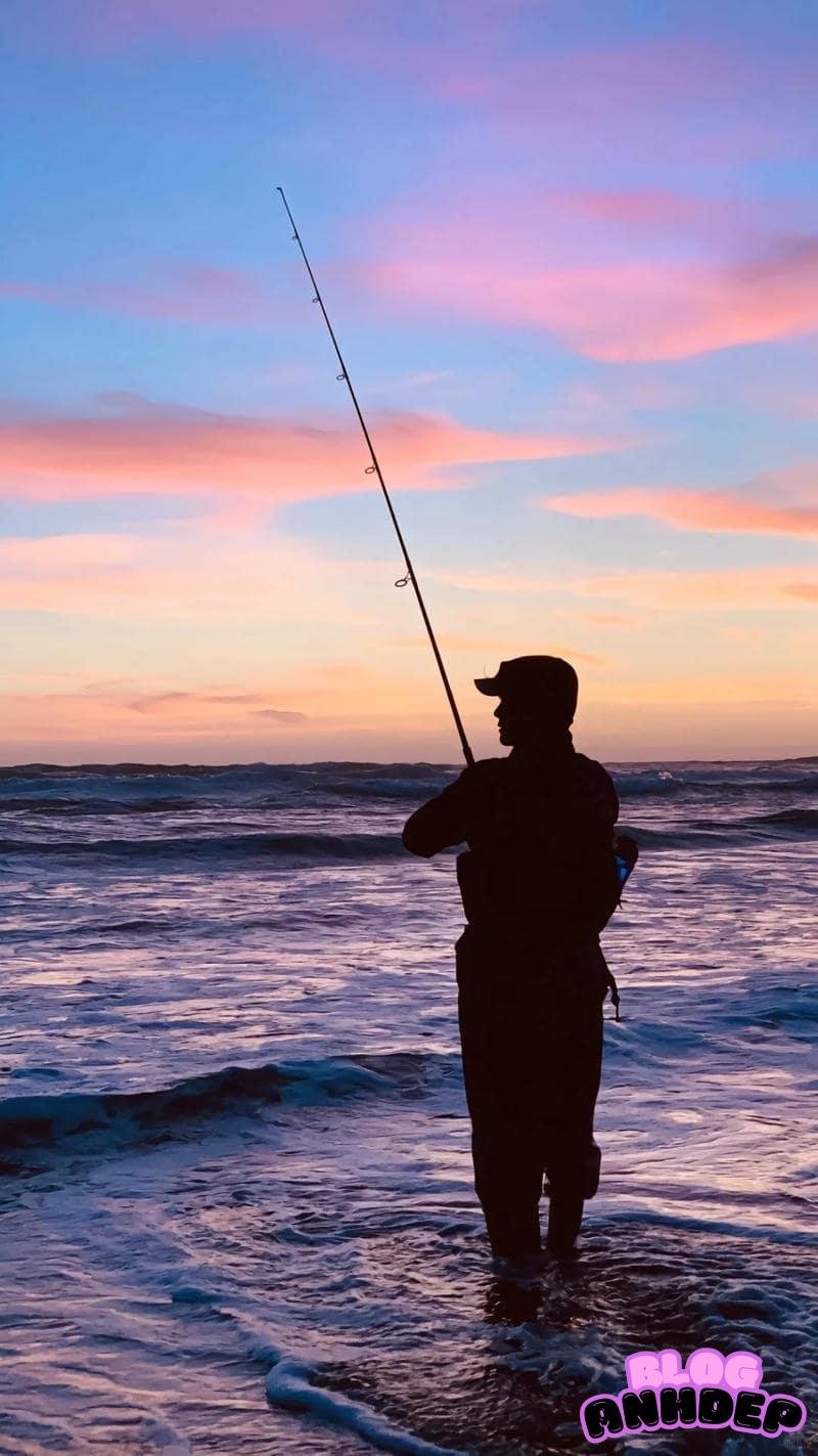 Ảnh hình nền câu cá sắc nét