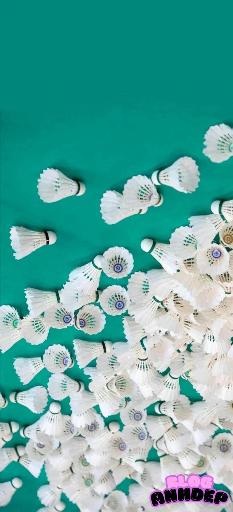 Ảnh hình nền cầu lông sắc nét