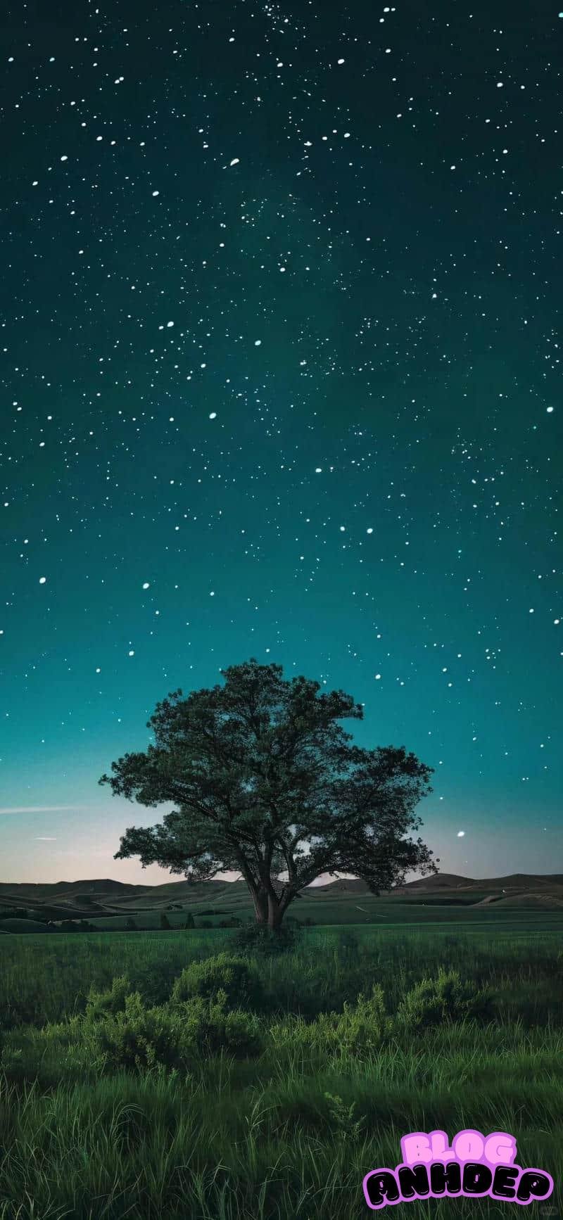 Ảnh hình nền cây xanh sắc nét