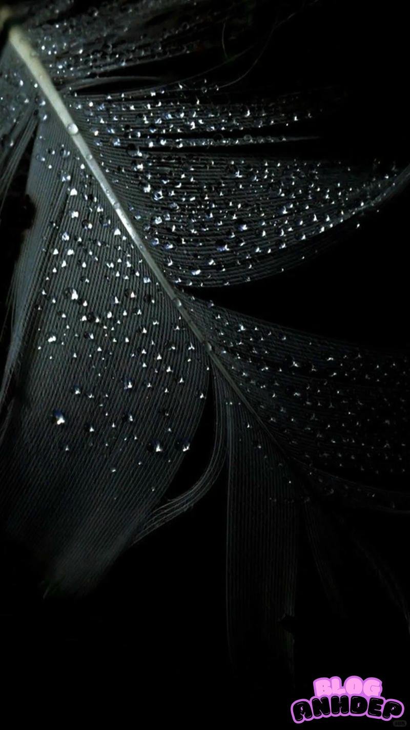 Ảnh hình nền đen sắc nét