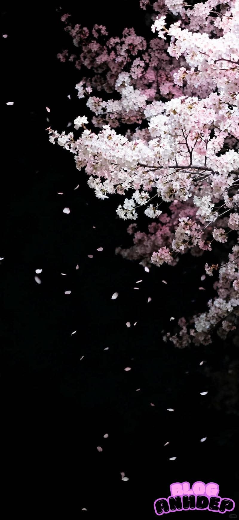 Ảnh mạng hình nền 4d mới lạ