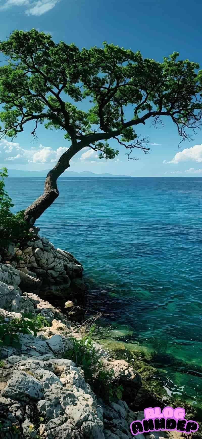 Ảnh mạng hình nền 4d nổi bật