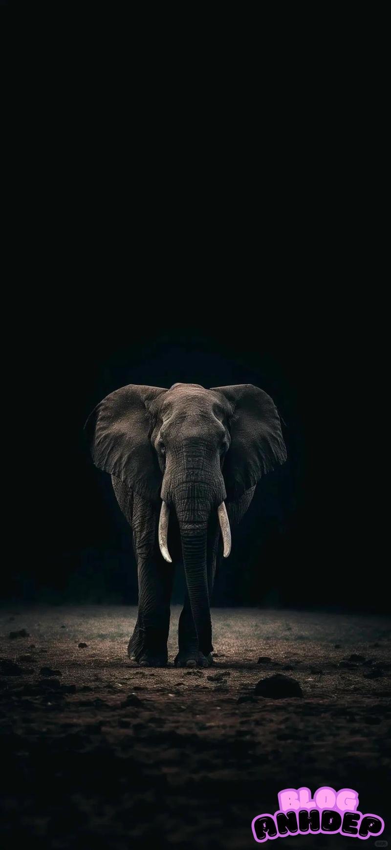 Ảnh mạng hình nền amoled nghệ thuật