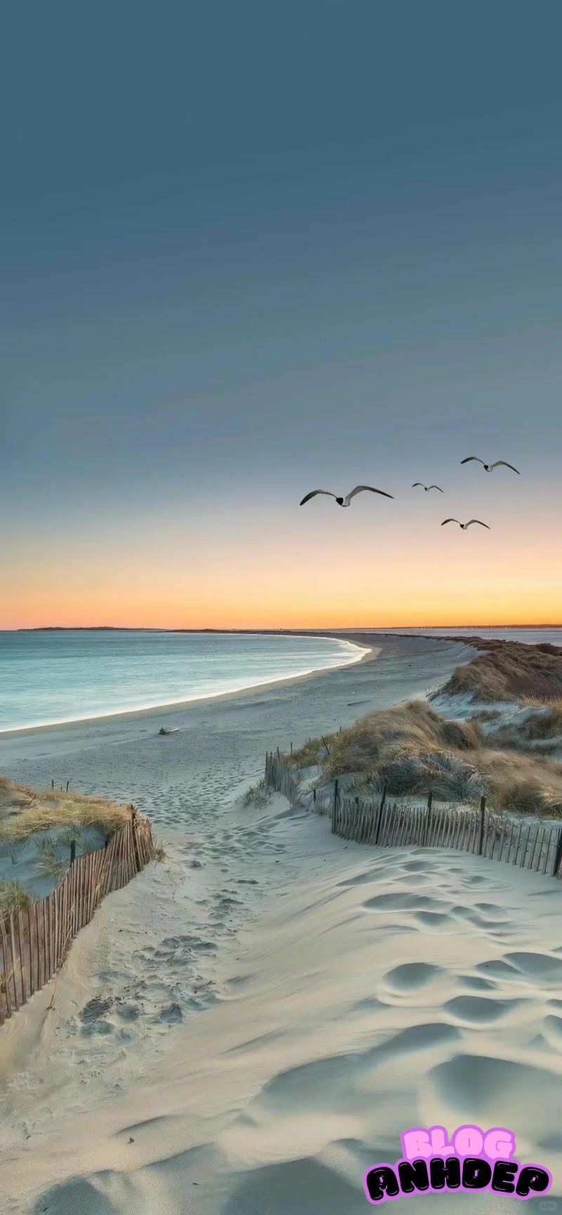 Ảnh mạng hình nền biển hài hòa