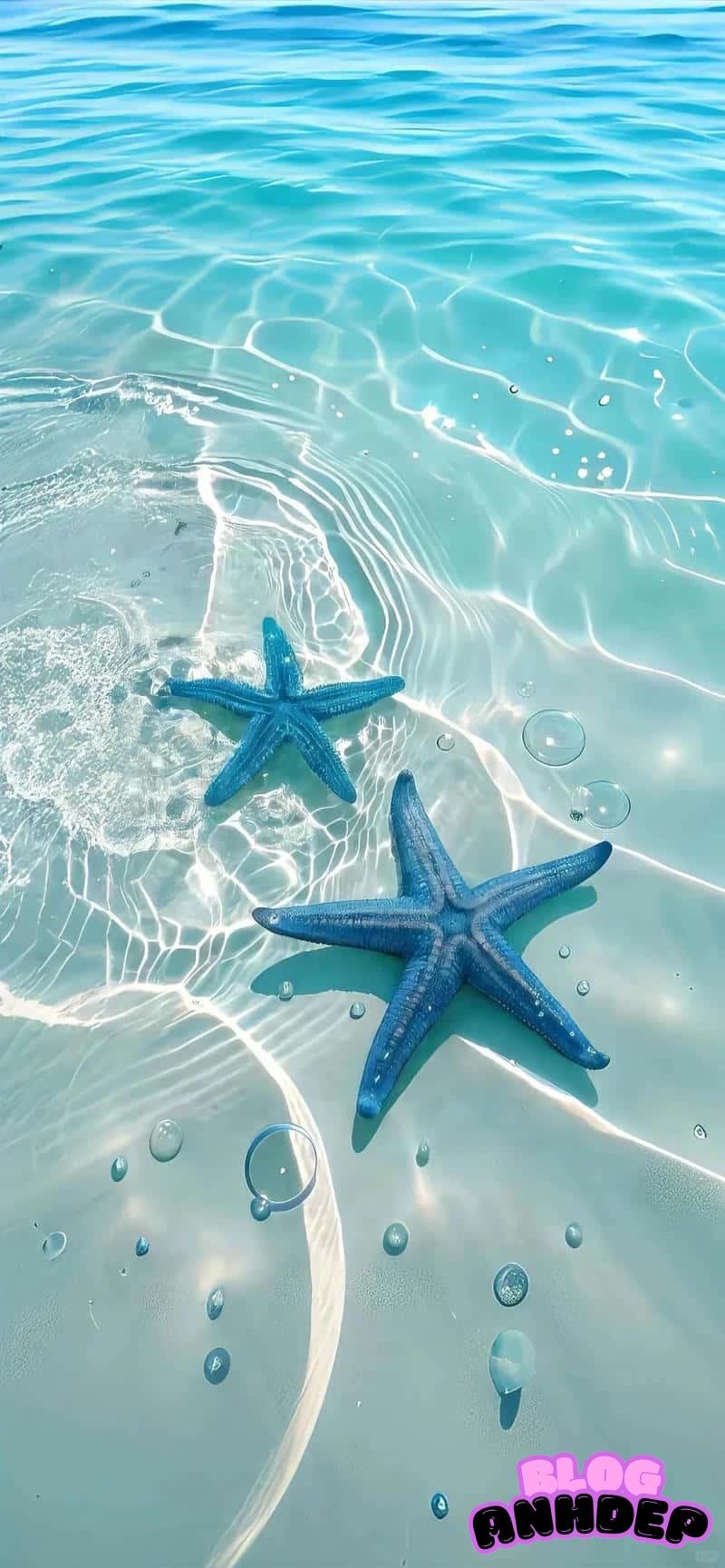 Ảnh mạng hình nền biển xu hướng