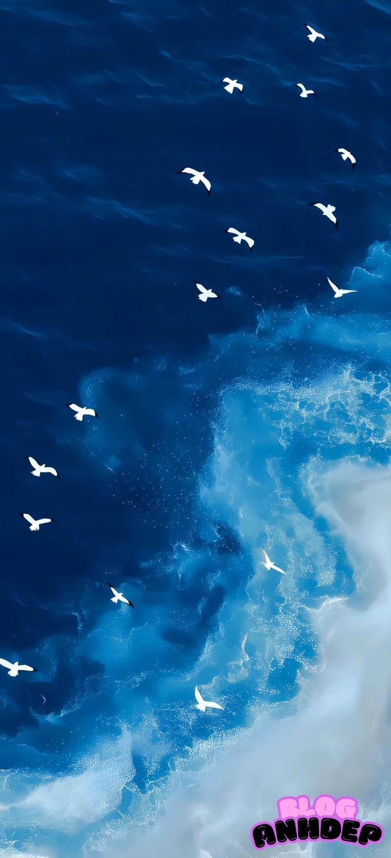 Ảnh mạng hình nền biển