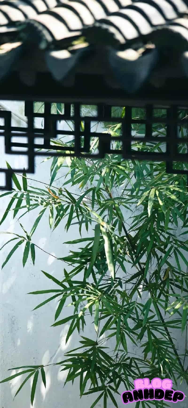 Ảnh mạng hình nền bình yên