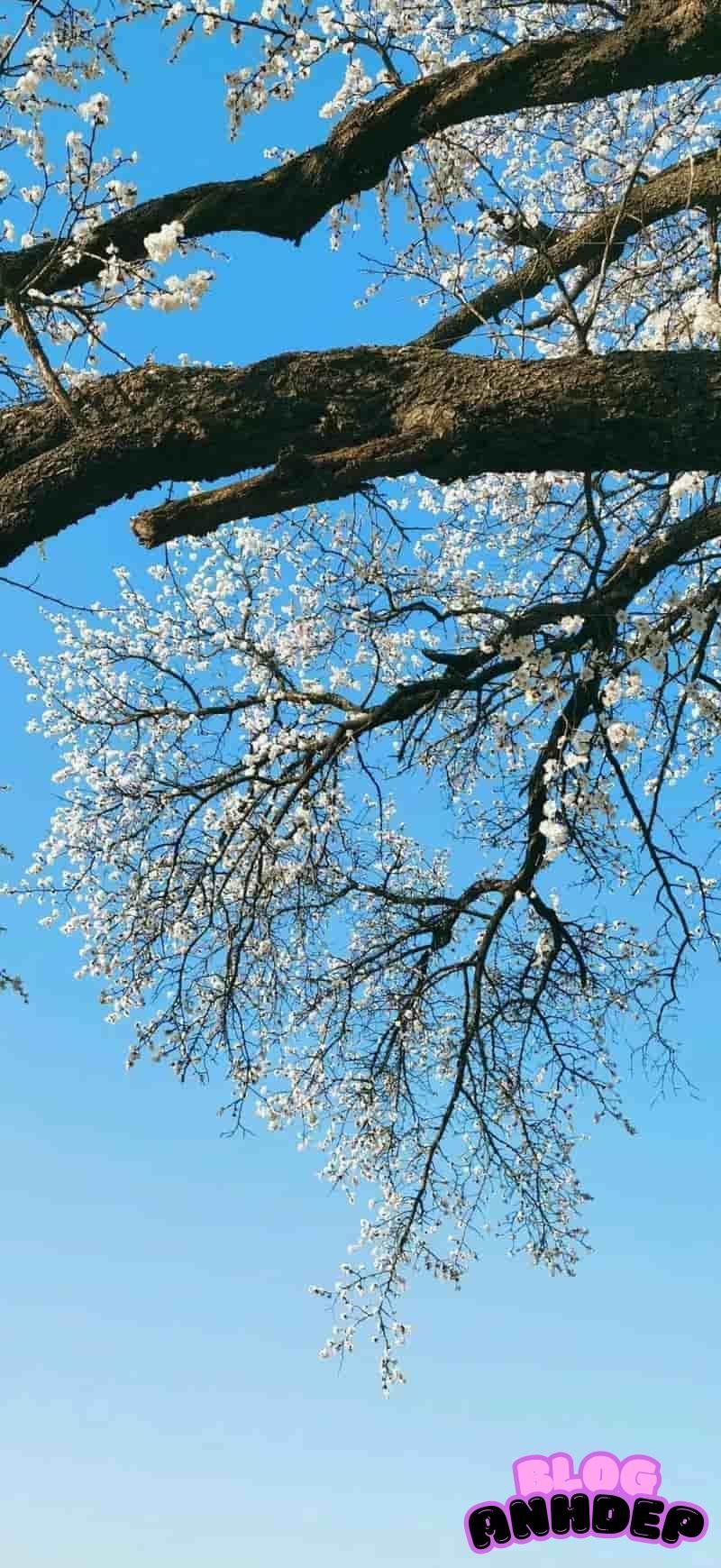 Bộ ảnh hình nền 3D 4k thu hút