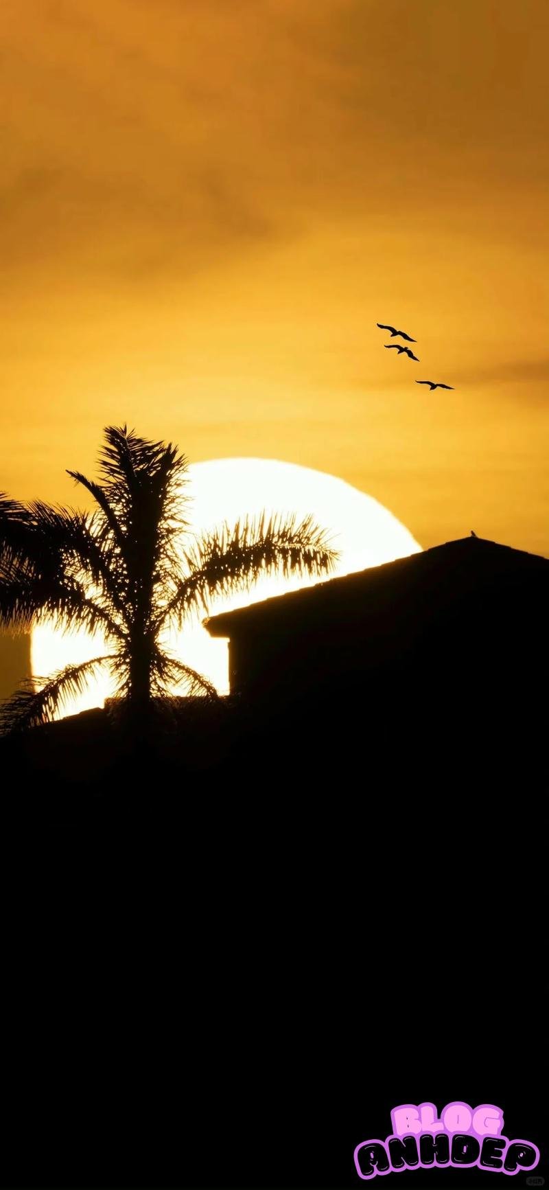 Bộ ảnh hình nền android theo chủ đề