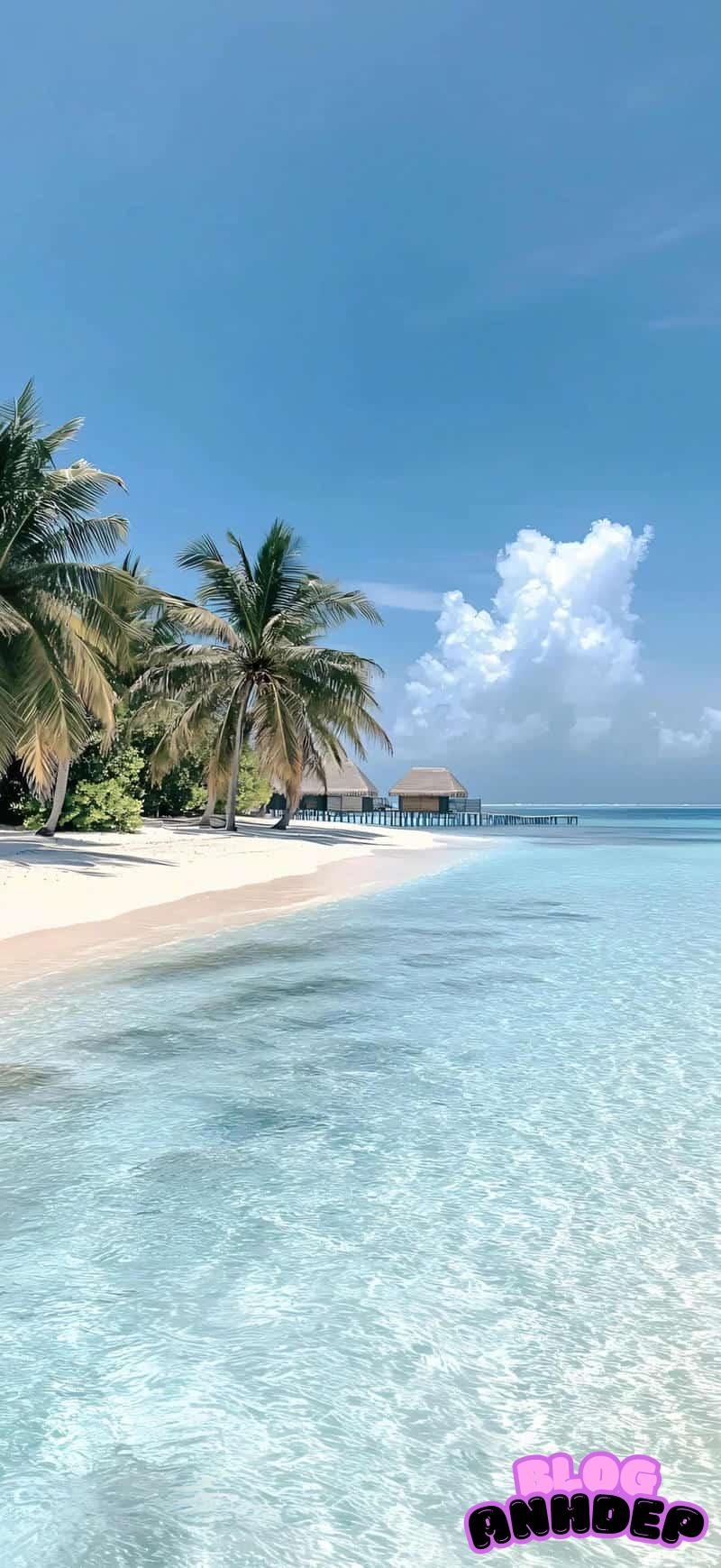 Bộ ảnh hình nền biển nghệ thuật