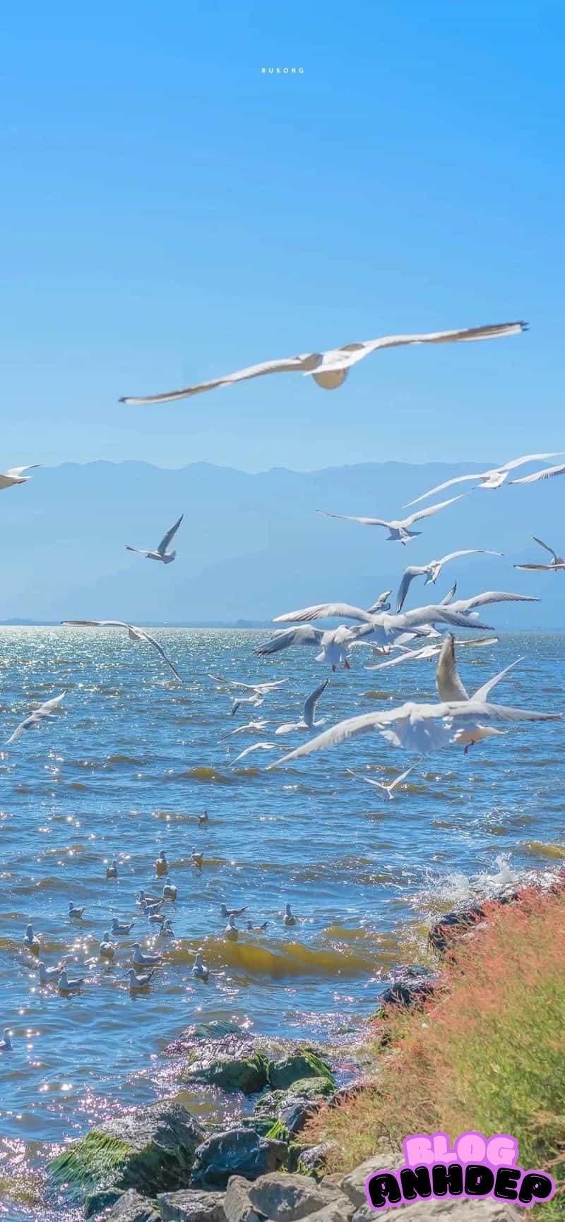 Bộ ảnh hình nền biển thu hút