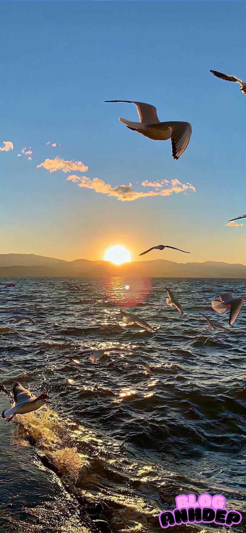 Bộ ảnh hình nền bình minh thuần khiết