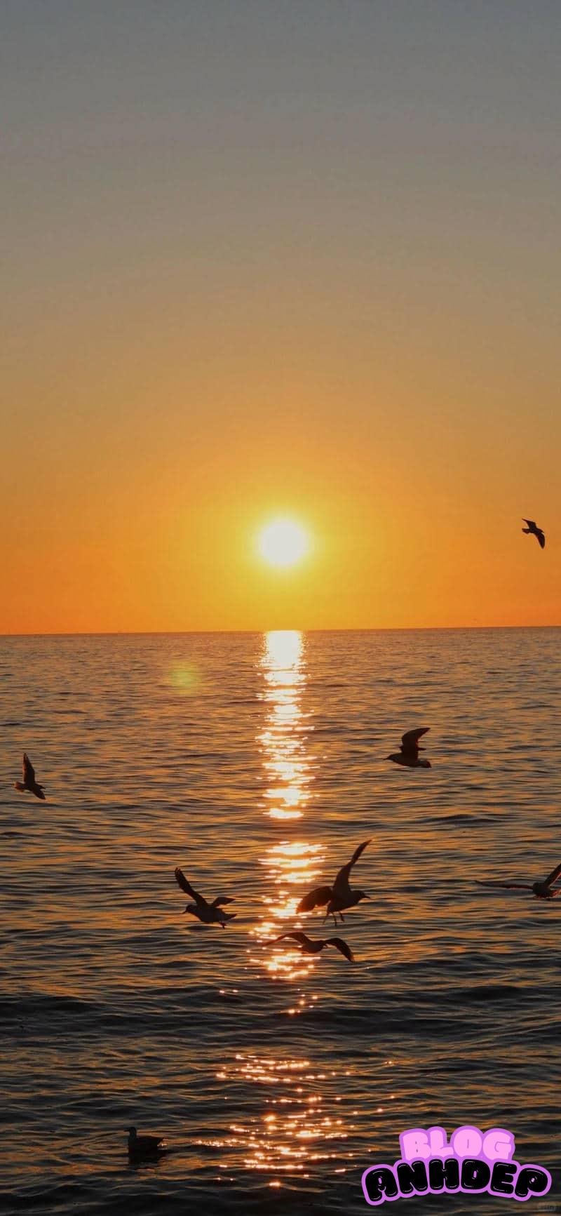 Bộ ảnh hình nền bình minh tĩnh