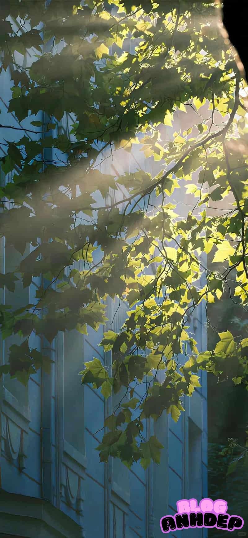 Bộ ảnh hình nền bình yên tĩnh