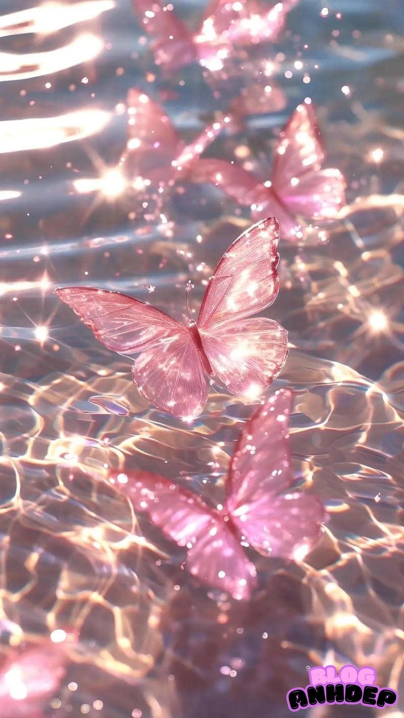 Bộ ảnh hình nền bướm miễn phí