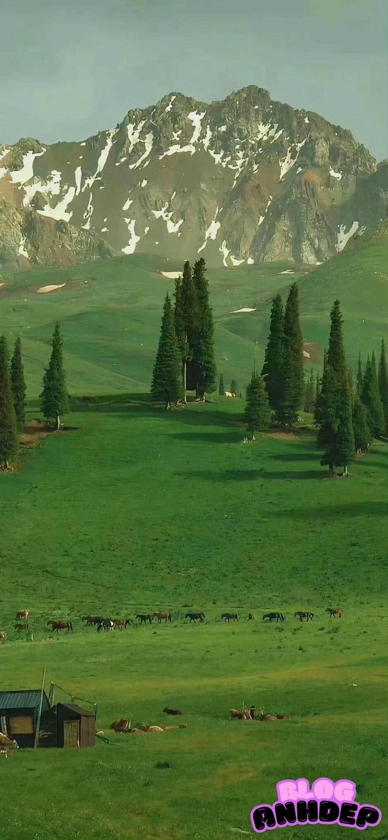 Bộ ảnh hình nền cây xanh miễn phí