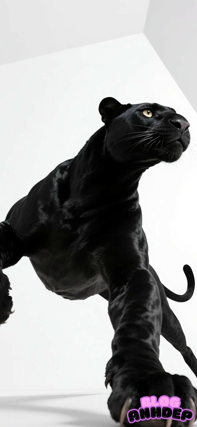 Bộ ảnh hình nền chất chơi miễn phí