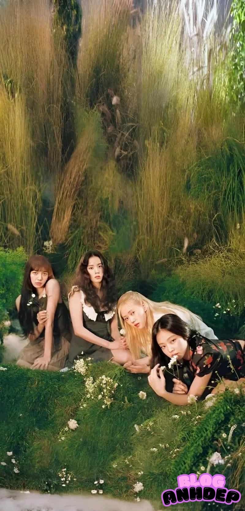 Bộ độc quyền hình nền black pink